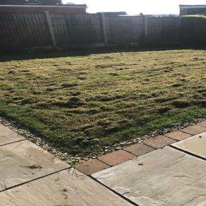 scarifying after lawntec mansfield